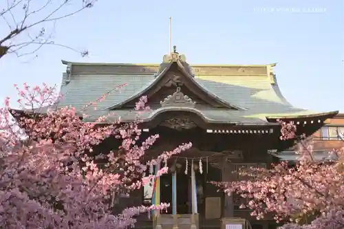 桜神宮の本殿・本堂