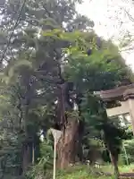 福大神(千葉県)