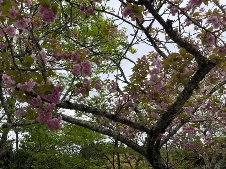 南院(和歌山県)