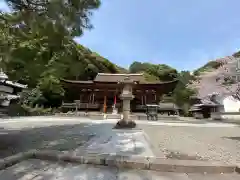 長弓寺の本殿