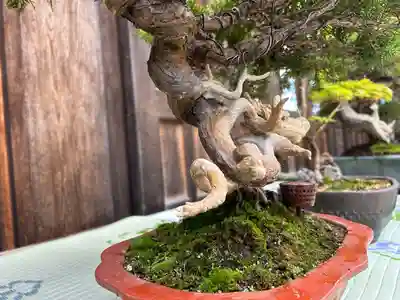 穂高神社本宮(長野県)