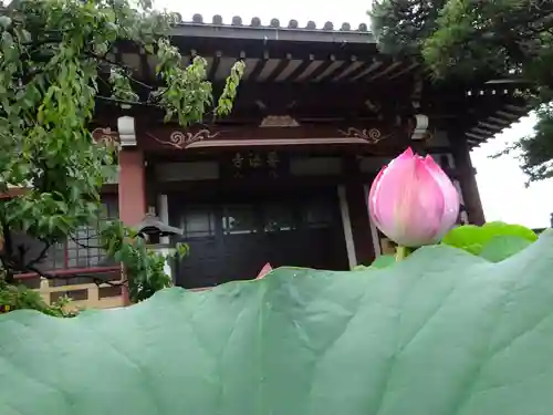 要法寺の本殿・本堂