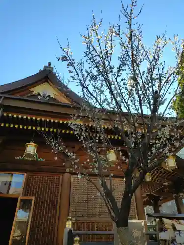 湯島天満宮(東京都)