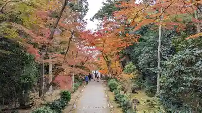 浄住寺(京都府)