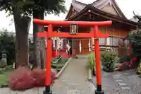 於菊稲荷神社の鳥居