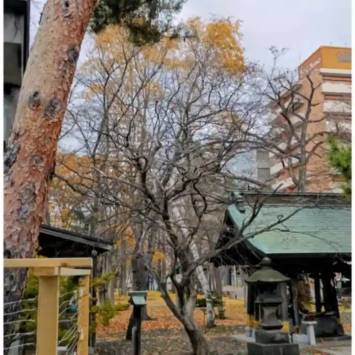 彌彦神社 (伊夜日子神社)(北海道)