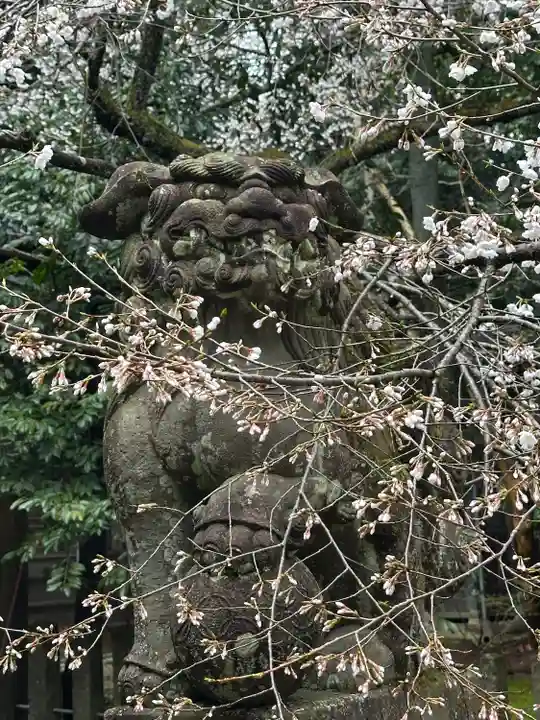 舟津神社(福井県)
