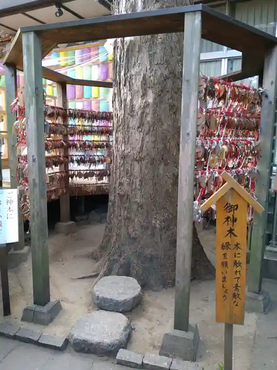 越谷香取神社の自然