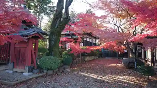 豪徳寺の庭園