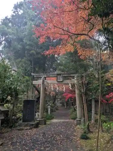 五所駒瀧神社(茨城県)