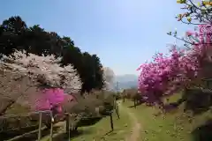 宝登山神社奥宮の周辺