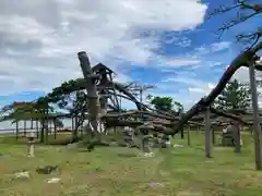 唐崎神社(滋賀県)