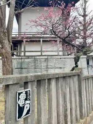亀戸 香取神社の{uncategorized: "未分類", other: "その他", undefined: "問題あり", building: "その他建物", grave: "お墓", sacred_gate: "鳥居", guardian: "狛犬", statue: "像", buddha: "仏像", history: "歴史", nature: "自然", garden: "庭園", animal: "動物", pagoda: "塔", temizu: "手水舎", mountain_gate: "山門・神門", sanctuary: "本殿・本堂", subordinate: "末社・摂社", art: "芸術", scenery: "景色", jizo: "地蔵", ema: "絵馬", goshuin: "御朱印", omikuji: "おみくじ", items: "授与品その他", amulet: "お守り", goshuincho: "御朱印帳", eats: "食事", festival: "お祭り", votive_dance: "神楽", shichigosan: "七五三参", wedding: "結婚式", experience: "体験その他", initially: "初詣", around: "周辺", anti_infection: "感染症対策"}