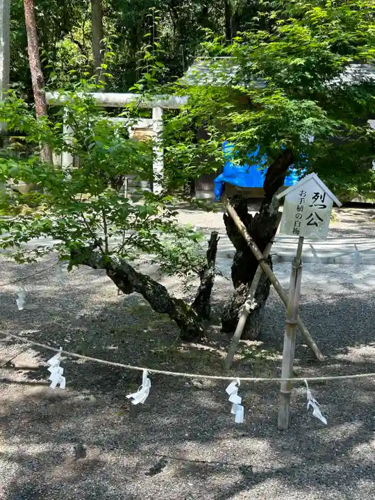 村松 大神宮(茨城県)