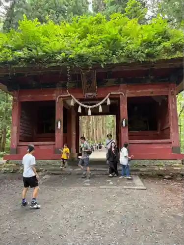 戸隠神社奥社(長野県)