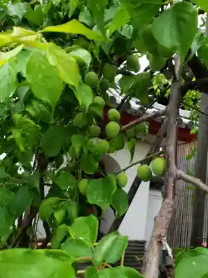 成願寺(東京都)