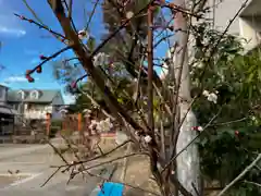 總神社(京都府)