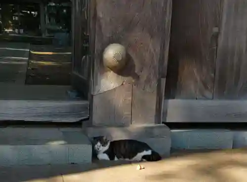 泉龍寺のその他建物