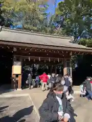 寒川神社の手水