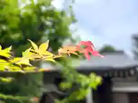 小泉寺(長野県)