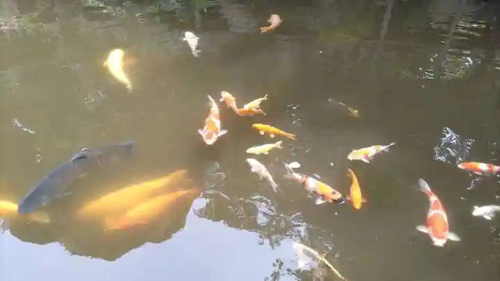 楽法寺(雨引観音)(茨城県)