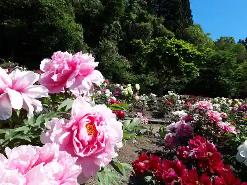 恵光院の庭園