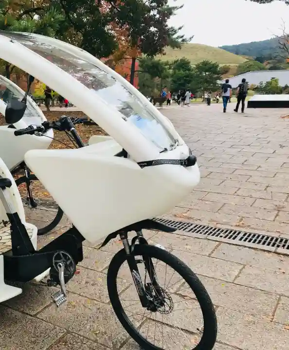 興福寺の{uncategorized: "未分類", other: "その他", undefined: "問題あり", building: "その他建物", grave: "お墓", sacred_gate: "鳥居", guardian: "狛犬", statue: "像", buddha: "仏像", history: "歴史", nature: "自然", garden: "庭園", animal: "動物", pagoda: "塔", temizu: "手水舎", mountain_gate: "山門・神門", sanctuary: "本殿・本堂", subordinate: "末社・摂社", art: "芸術", scenery: "景色", jizo: "地蔵", ema: "絵馬", goshuin: "御朱印", omikuji: "おみくじ", items: "授与品その他", amulet: "お守り", goshuincho: "御朱印帳", eats: "食事", festival: "お祭り", votive_dance: "神楽", shichigosan: "七五三参", wedding: "結婚式", experience: "体験その他", initially: "初詣", around: "周辺", anti_infection: "感染症対策"}