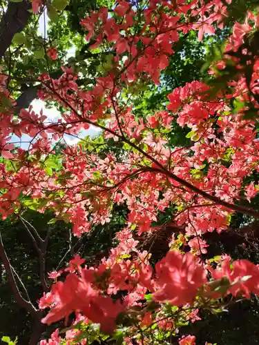 厚別神社(北海道)