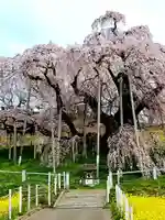 瀧桜神明宮の自然