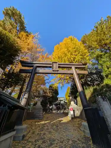 諏訪神社(東京都)