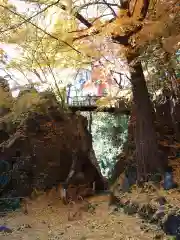 行道山 浄因寺(栃木県)