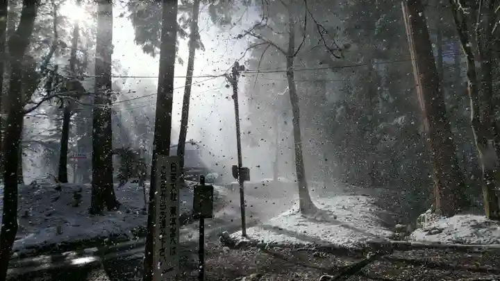 日吉大社の周辺