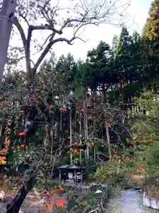 国上寺(新潟県)(2024年11月26日(火) 08時04分43秒投稿)