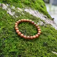 諫早神社(九州総守護 四面宮)(長崎県)