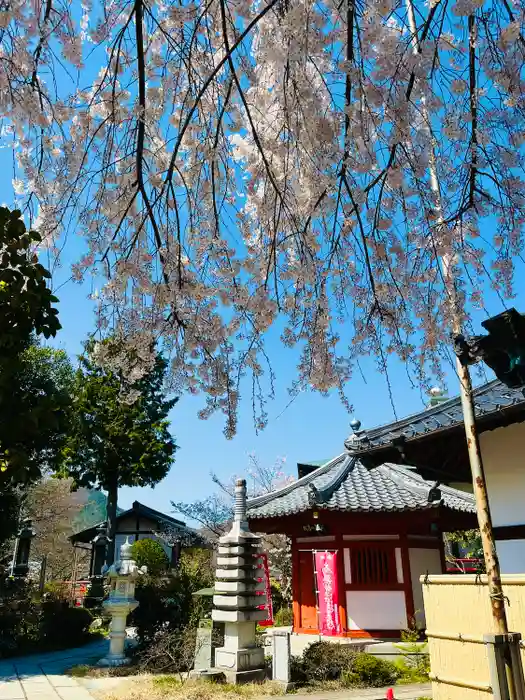 長光寺の建物その他