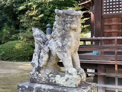 亀森八幡神社の狛犬