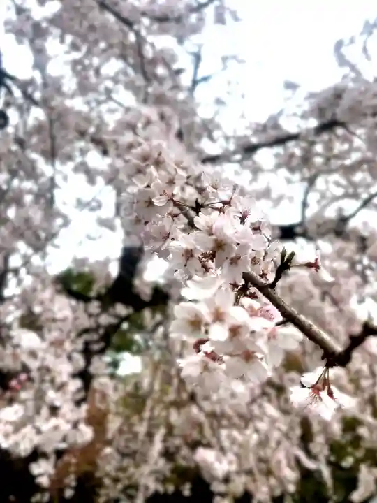上野東照宮(東京都)