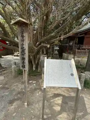 秩父神社(埼玉県)