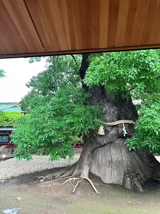 上野東照宮(東京都)
