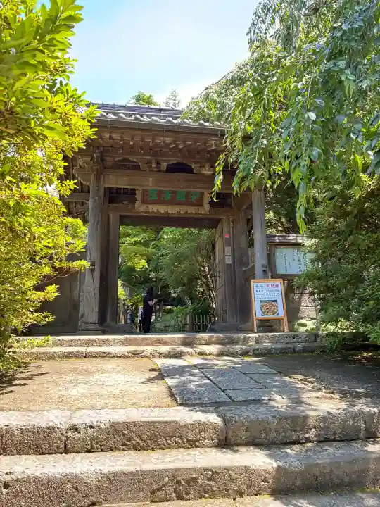 安國論寺(安国論寺)(神奈川県)