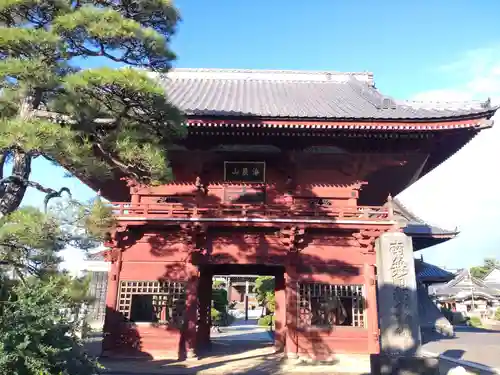 徳願寺の山門