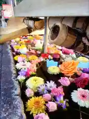 鳩森八幡神社(東京都)