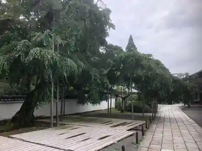 醍醐寺(上醍醐)のその他建物