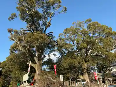 導きの神大牟田熊野神社(福岡県)