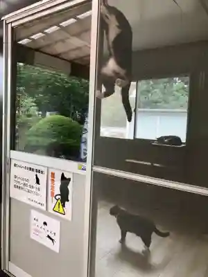 下野大師華蔵寺(栃木県)