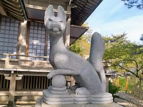 高山稲荷神社の狛犬