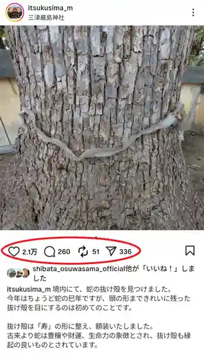 三津厳島神社(愛媛県)