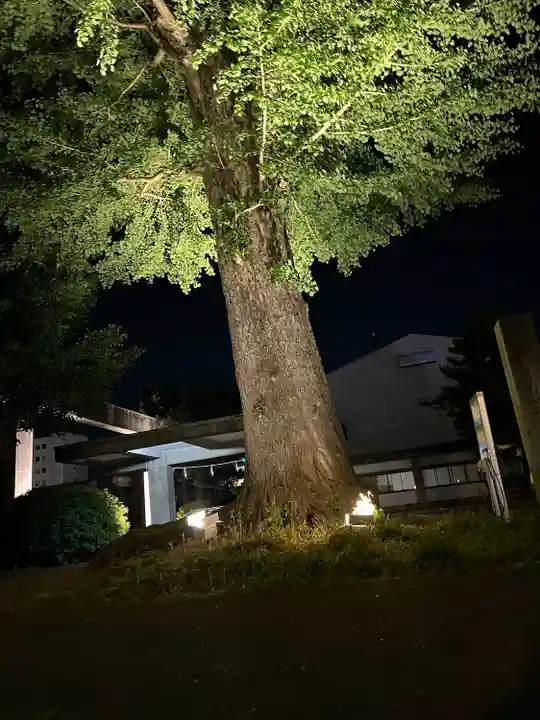 福井神社(福井県)