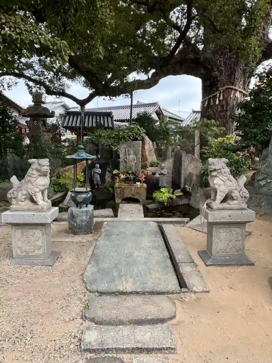 法楽寺の{uncategorized: "未分類", other: "その他", undefined: "問題あり", building: "その他建物", grave: "お墓", sacred_gate: "鳥居", guardian: "狛犬", statue: "像", buddha: "仏像", history: "歴史", nature: "自然", garden: "庭園", animal: "動物", pagoda: "塔", temizu: "手水舎", mountain_gate: "山門・神門", sanctuary: "本殿・本堂", subordinate: "末社・摂社", art: "芸術", scenery: "景色", jizo: "地蔵", ema: "絵馬", goshuin: "御朱印", omikuji: "おみくじ", items: "授与品その他", amulet: "お守り", goshuincho: "御朱印帳", eats: "食事", festival: "お祭り", votive_dance: "神楽", shichigosan: "七五三参", wedding: "結婚式", experience: "体験その他", initially: "初詣", around: "周辺", anti_infection: "感染症対策"}