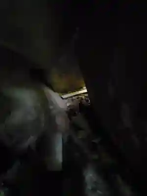 名草厳島神社(栃木県)